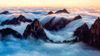 失忆的流浪者